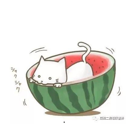 吃瓜每日爆料动漫视频,动漫圈大揭秘，精彩瞬间一网打尽！