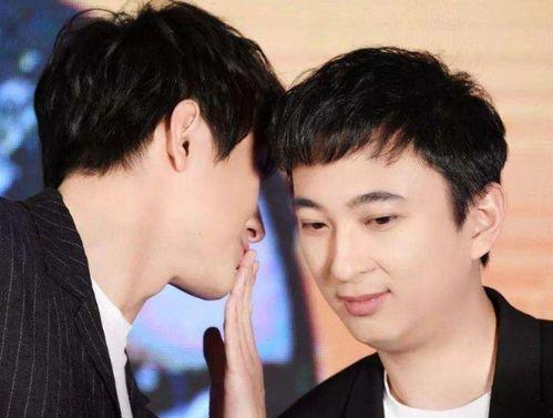 男明星网红妻子,男明星网红妻子的魅力人生