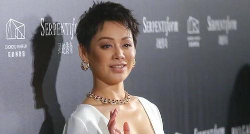 明星网红情头,甜蜜瞬间尽收眼底