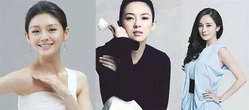 明星网红鉴定官网,权威认证，助力辨别真伪