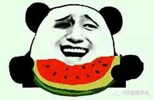 黑柴吃瓜噎着了怎么办,黑柴吃瓜噎着紧急应对指南