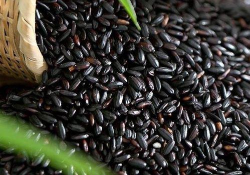 17c吃瓜官网黑料,黑料背后的真相与反思