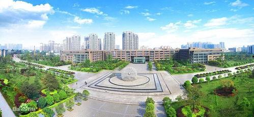 西华大学明星网红,校园明星闪耀网络舞台