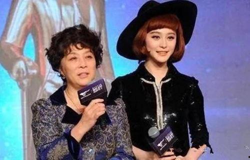 明星网红事迹素材,网红明星的励志事迹与影响力揭秘