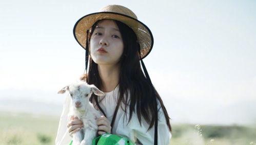 明星网红的言论,观点碰撞下的社会思考