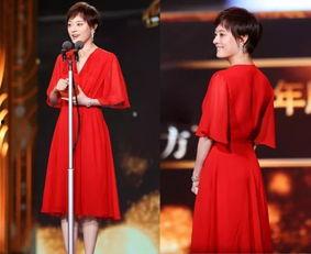 娱乐圈资深吃瓜人小说免费阅读