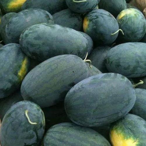 黑方瓜怎么吃最好吃呢图片,解锁最佳食用秘诀