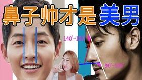 明星网红风整容,明星效仿潮流，揭秘美丽背后的秘密