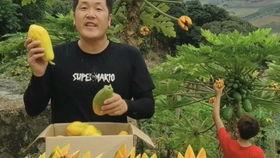 紫瓜里面的黑籽可以吃吗