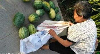 最新吃瓜爆料河北邢台,揭秘背后惊人真相