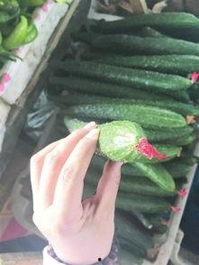 最新吃瓜爆料河北邢台,揭秘背后惊人真相