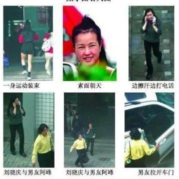 小狗仔每天在娱乐圈吃瓜小说,小狗仔的吃瓜日常