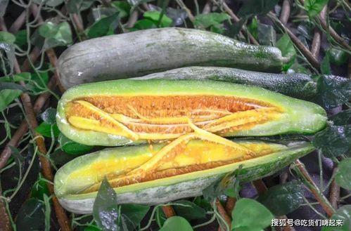 网红吃瓜独家爆料,揭秘娱乐圈惊人内幕