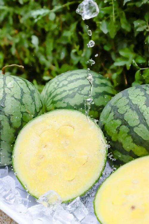 黑瓜吃料正能量官网今日,今日精选，传递阳光与活力