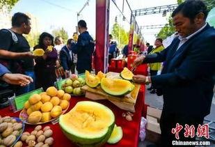 邵阳最新吃瓜爆料新闻,神秘事件背后真相揭晓！